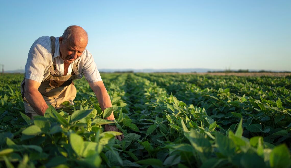 Agricultor no meio de uma plantação